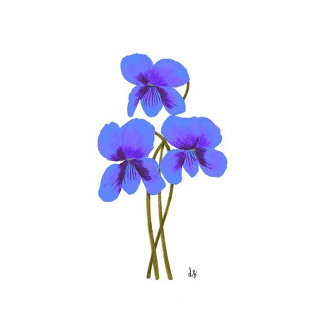 Violet Drawing Flower, Violet Sketch Flower, Violet Illustration, Violets Illustration, Line Art Violet Flower, Violet Flower Illustration, Violet Illustration Flower, Violets Botanical Illustration, Peace In The Valley