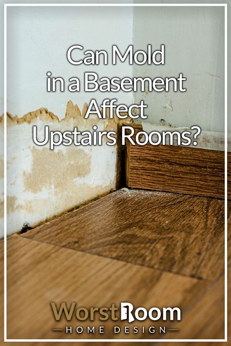 Can Mold in a Basement Affect Upstairs Rooms? Basement Mold Removal, Basement Odor, Mold In Basement, Concrete Basement Walls, Mold Smell, Best Flooring For Basement, Home Basement, Old Basement, Wet Basement