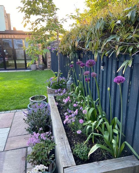 New Build Cottage Garden, Canberra Garden, Small Country Garden, Front Yard Flowers, Tiny Garden Ideas, Garden 2023, Country Cottage Garden, Small Garden Landscape, Tiled Floors