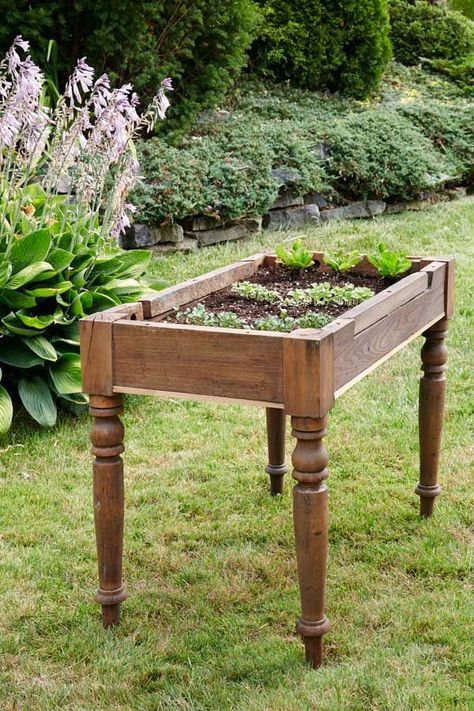 Diy Garden Bed, Vegetable Garden Raised Beds, Building A Raised Garden, Diy Raised Garden, Raised Garden Beds Diy, Garden Boxes, Veggie Garden, Edible Garden, Raised Beds