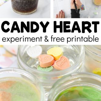 Science | Fun-A-Day! Candy Heart Experiment, Emergent Literacy Activities, Heart Experiment, Valentine Science Experiments, Little Red Hen Activities, Catapult For Kids, Valentine Preschool, Preschool Zoo Theme, Rainbow Lessons