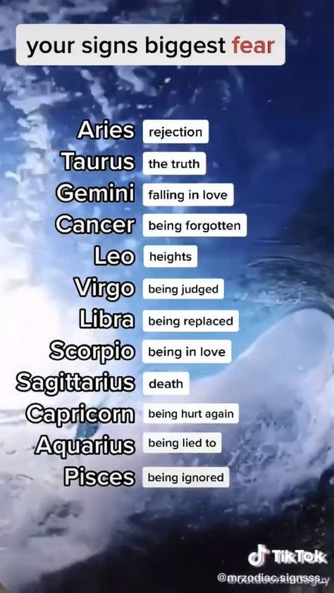 Capricorn��’s strong sense of discipline and determination makes them the best at achieving their goals and reaching the top of their chosen field. Zodiac Signs Fun Facts, Zodiac Signs Facts Truths Astrology, Most Likely To Zodiac Signs, Facts About Zodiac Signs, Zodiac Signs As Things, Funny Zodiac Signs, Your Zodiac Sign Your, Zodiac Signs Compatibility, Gemini Zodiac Quotes