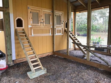 Coop Color Ideas, Chicken Yards, Shed Chicken Coop, Walk In Chicken Coop, Duck Coop, Custom Backyard, Chicken Pen, Types Of Chickens, Diy Chicken Coop Plans