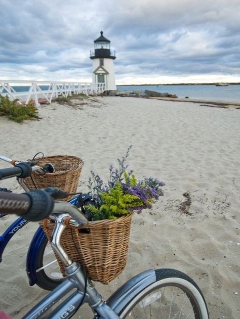 Beach The Beach, Bicycle, Flowers