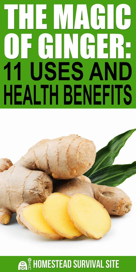 Vegetables Pizza, Ginger Uses, Benefits Of Ginger, Tea For Colds, Herbal Oils, Anti Inflamatory, Growing Ginger, Health Benefits Of Ginger, Evaluation Form