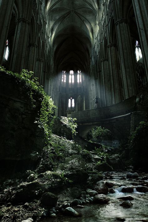 One of the most interesting abandoned places - Church in St. Etienne, France [970x1455] - Imgur Atmospheric Lighting, Dark Naturalism, Abandoned Church, Fotografi Digital, Dark Green Aesthetic, Abandoned Castles, Slytherin Aesthetic, Abandoned House, Abandoned Mansions