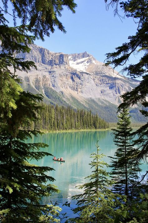 #Alberta #emeraldlake #summer #canoeing #canon #canonphotography #canon60d #scenery #nature #tour #summer #lake Canmore Alberta Aesthetic, Alberta Canada Aesthetic, Alberta Aesthetic, Banff Canada Summer, Summer In Canada, Alberta Summer, Banff Summer, Alberta Landscape, Vancouver Canada Photography