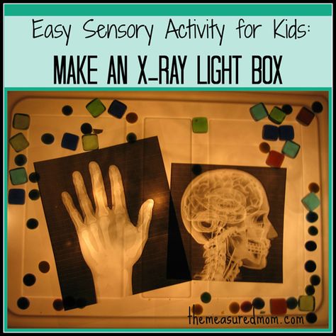 Easy Sensory Activity for Kids: Make an X-Ray Light Box from The Measured Mom X Ray Machine Dramatic Play, X Ray Preschool Activities, X Ray Theme Preschool, Xray Art Activity, Preschool X Ray Activities, Xray Images, Medical Play, Light Box Activities, Letter E Activities