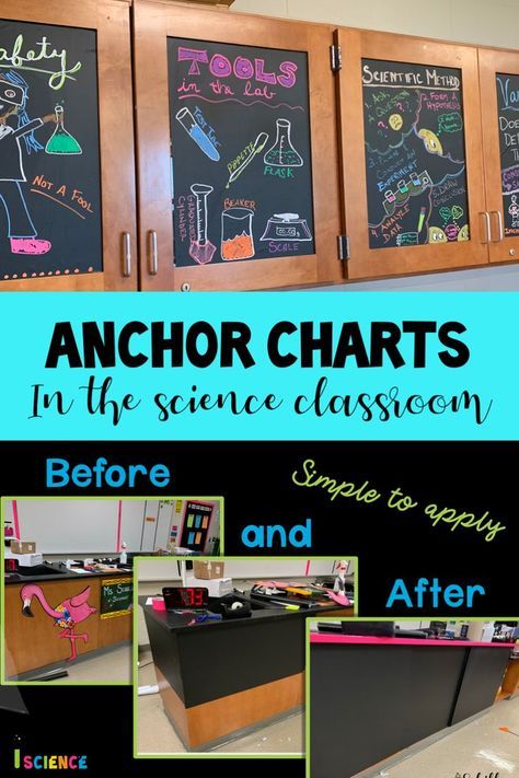 Biology Classroom Decorations Ideas, Decorating Science Classroom, Science Lab Classroom Decorations, High School Science Room, High School Science Classroom Ideas, Ag Science Classroom, Chemistry Anchor Charts High Schools, Science Lab Classroom Design, Classroom Decor High School Science