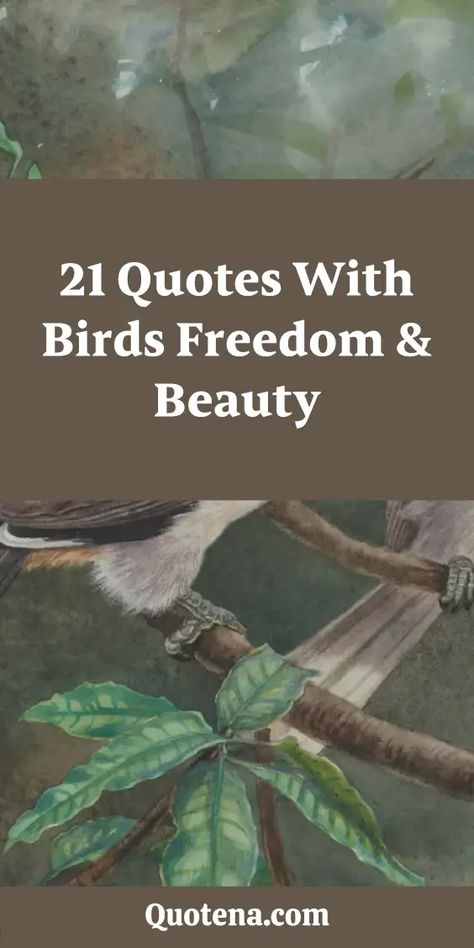 21 Quotes with Birds Freedom & Beauty Birds Quotes Short, Quotes About Birds Inspirational, Birds Chirping Quotes, Swallow Quotes, Trust No One Quotes, Birds Freedom, Wing Quotes, Quotes Freedom, 21 Quotes