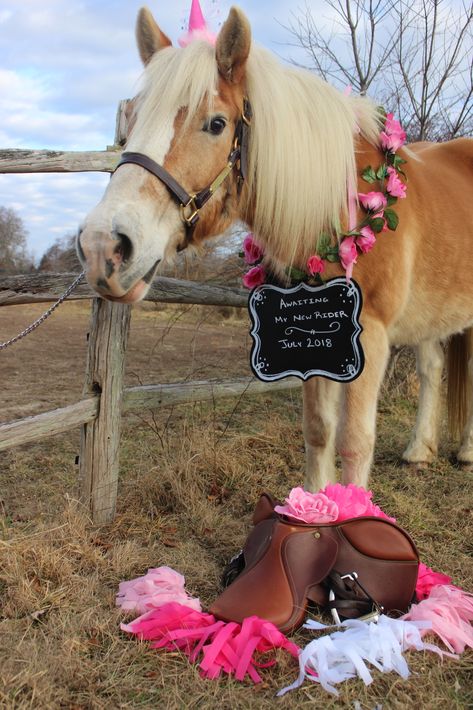 Horse Gender Reveal Ideas, Horse Gender Reveal, Announcement Pictures, Rain Baby, Gender Reveal Photos, Baby Announcement Pictures, Gender Reveal Ideas, Announcement Ideas