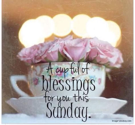 A Cup Full Of Blessings For You This Sunday good morning sunday sunday quotes good morning quotes happy sunday sunday quote happy sunday quotes good morning sunday Week Blessings, Sunday Humor, Sunday Morning Quotes, Sunday Quotes Funny, Sunday Greetings, Daily Humor, Sunday Wishes, Sunday Blessings, Greetings Images