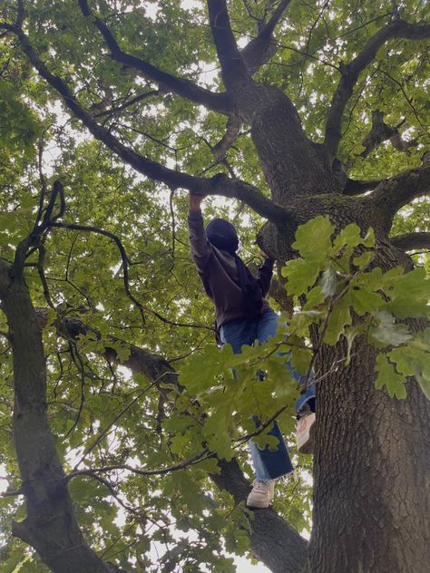 Tree Climbing Aesthetic, Climbing Trees Aesthetic, Girl Climbing Tree, Climbing A Tree, Miracle Quotes, Current Aesthetic, Climbing Trees, Tree Climbing, Foto Wedding