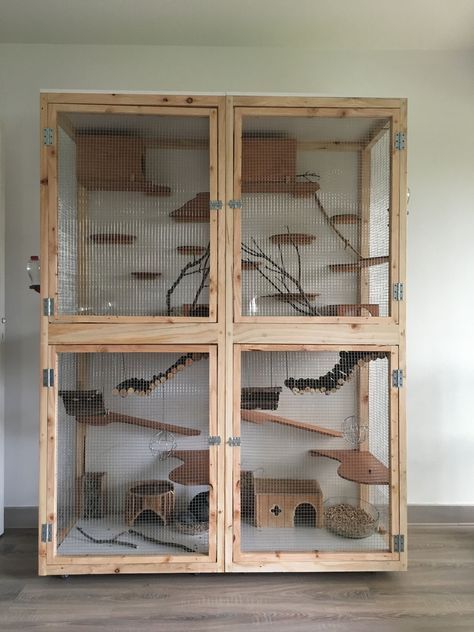 Squirrel Cages Indoor, Chinchilla Cage Ideas Homemade, Sugar Glider Cage Ideas, Sugar Glider Habitat, Bird Cage Ideas, Decorative Bird Cage, Diy Wooden Shelves, Diy Cat Enclosure, Budgie Cage