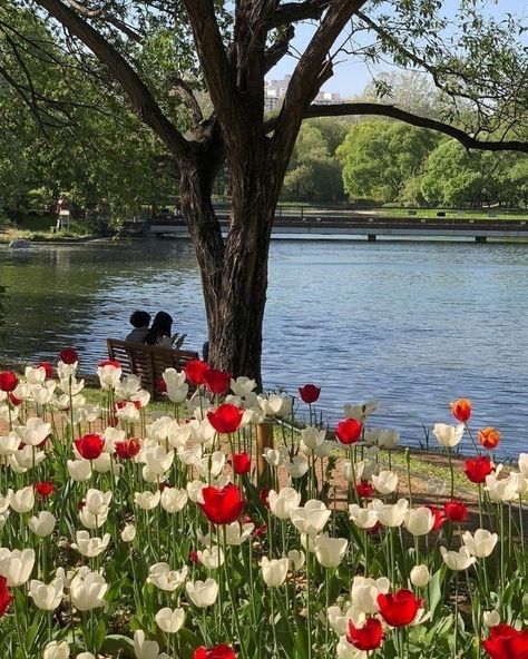 Nothing But Flowers, Flower Therapy, Spring Aesthetic, Alam Yang Indah, Nature Aesthetic, Pretty Places, Love Flowers, Aesthetic Photo, My Flower