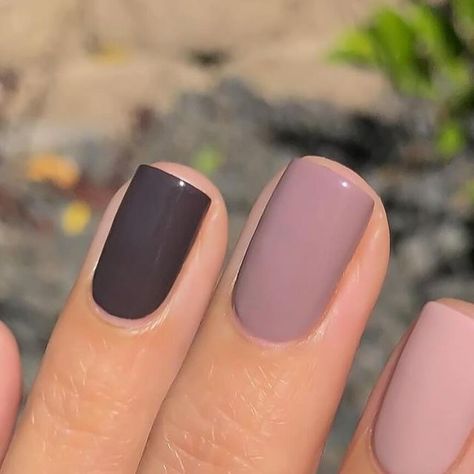 VOGUE CAFÉ on Instagram: "@lovefreshpaint  1-9?" Nail Supply Store, Sound Check, Lady Like, Nails Today, Casual Nails, Seasonal Nails, Gray Nails, Bossa Nova, Neutral Nails