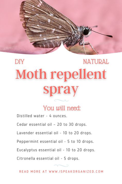 Here's a recipe for an easy, natural moth repellent. Learn how to deal with moths in your closet by clicking the image. #howtogetridofmothsinthecloset #getridofmoths Moth Repellant Diy Spray, Moths In Closet, Getting Rid Of Moths, Leopard Moth, Cedar Essential Oil, Moth Repellent, Citronella Essential Oil, Lavender Spray, Diy Sprays