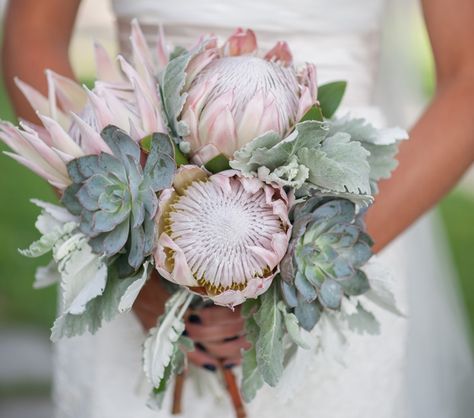 Blomme Rangskikkings, Protea Wedding, Protea Bouquet, Southern Maine, King Protea, Protea Flower, Classic Bride, Succulent Bouquet, Wedding Bouquets Bride