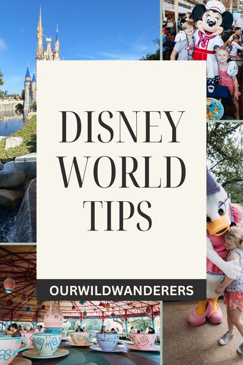 Disney photography collage with text overlay Disney World Tips Tips For Disney World, Disney World Tips, Disney World Vacation Planning, Family Disney Trip, Disney Trip Planning, Disney Travel, Disney Planning, Vacation Planning, Disney World Tips And Tricks