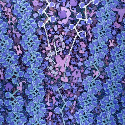 Protein Biology, Biology Aesthetic, Dna Polymerase, Dna Strand, Basement Membrane, Katie Scott, Biology Art, Molecular Structure, Molecular Biology