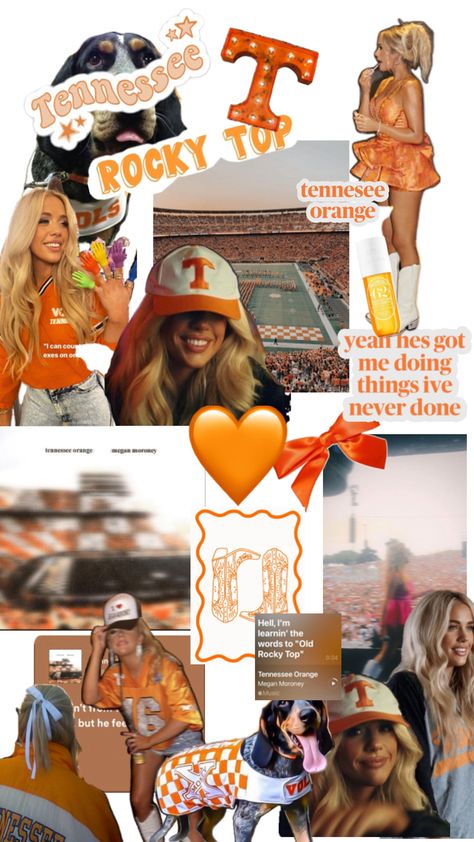 tennessee orange 🧡 Rocky Top Tennessee, Megan Moroney, Tennessee Orange, Cody Johnson, Cute Images For Wallpaper, Best Country Singers, Hoodie Diy, Rocky Top, Preppy Wallpaper