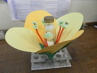 Fantastic flower model ! Teaching plant reproduction at KS3. | Practical Science Teaching Science Teaching Aids, Plant Reproduction, Teaching Plants, Science Models, Biology Classroom, Flower Model, 4th Grade Science, Science Projects For Kids, Plant Projects