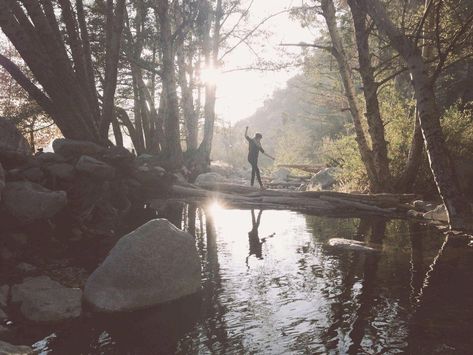 Playing In The Woods, Stars Photo, Margaret Atwood, Balanced Life, Adventure Is Out There, Psalm 23, Into The Wild, Into The Woods, Skagen