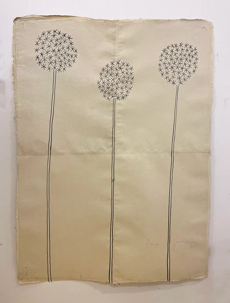 DRAWINGS – Hugo Guinness Hugo Guinness, Spring Vases, Botanical Flowers, Home Office Design, Guinness, Summer Flowers, Art Drawing, Art Diy, Official Store