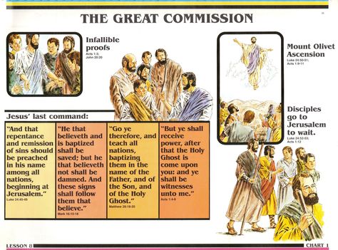 Search for Truth - The Great Commission Book Of Hosea Bible Study, Book Of Matthew Summary, Book Of John Study Guide, Summary Of Each Book Of The Bible, Search For Truth Bible Study Chart, Acts Bible, Kingdom Living, Bible Search, Quick View Bible