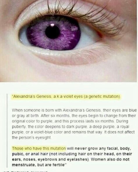 Alexandria Genesis, Doug Funnie, Genetic Mutation, Violet Eyes, Purple Eyes, Charlie Chaplin, The More You Know, Genetic, Tumblr Funny