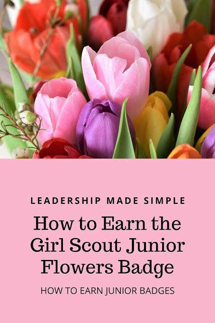 How to Earn Junior Girl Scout Badges: How to Earn the Girl Scout Junior Flowers Badge Junior Girl Scout Meeting Ideas, Girl Scout Juniors Activities, Junior Flower Badge, Junior Badges Girl Scouts, Girl Scout Badge Ideas, Junior Badge Ideas, Girl Scout Junior Badges, Junior Girl Scouts Activities, Girl Scout Badges Requirements