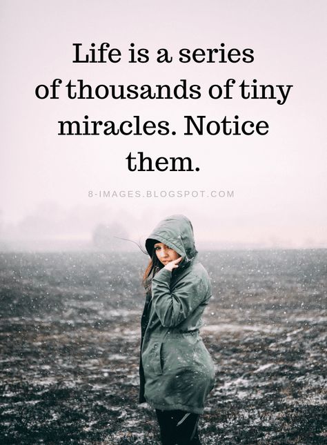 Notice Quotes, God Thoughts, Tiny Miracles, Quotes Disney, Super Quotes, Ideas Quotes, Trendy Quotes, Quotes Life, New Quotes