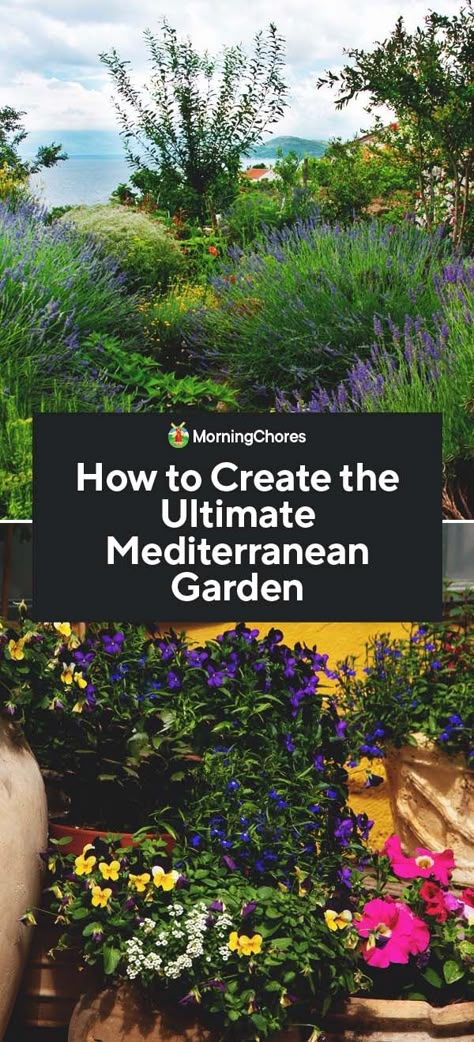 How to Create the Ultimate Mediterranean Garden Mediterranean Hillside Garden, Low Maintenance Mediterranean Garden, Small Mediterranean Patio Ideas, Mediterranean Plants In Pots, Uk Mediterranean Garden, Italian Garden Plants, Rustic Mediterranean Garden, Garden Design Mediterranean, Mediterranean Front Courtyard