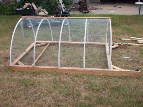 Why I hope to never again build a PVC run or tractor...pics | BackYard Chickens - Learn How to Raise Chickens Pvc Chicken Tractor, Hoop House Chickens, Permaculture Orchard, Bunny Houses, Building A Chicken Run, Chicken Coop Plans Free, Catio Ideas, Cheap Chicken Coops, Chicken Coop Pallets