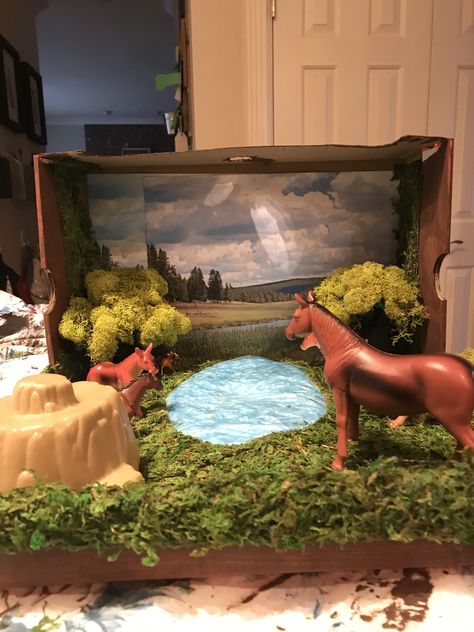 Horses Habitat diorama Horse Habitat, Horse Habitat School Project, Dog Diorama Project, Animal Habitat Diorama, Horse Diorama, Diorama Animal Habitat, Horse Habitat Diorama, Diorama Habitat, Shoe Box Diorama Desert