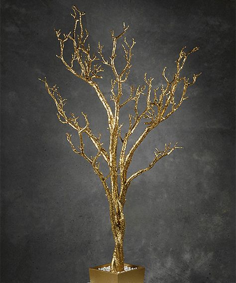 Look at this Gold Potted Wishing Tree Décor on #zulily today! Wishing Tree Wedding, Takken Decor, Branch Centerpieces, Manzanita Tree, Tree Centerpieces, 50th Anniversary Party, Wishing Tree, Golden Anniversary, Branch Decor