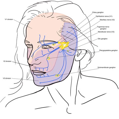 Glossopharyngeal Neuralgia, Trigeminal Nerve, General Physician, Paranasal Sinuses, Salivary Gland, Literature Review, Neurological Disorders, Nerve Pain, Neurology