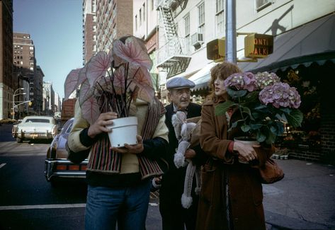 Film Photography London, Joel Meyerowitz Wild Flowers, Flowers Film Photography, Rollei 35 Photography, The Americans, Body Gestures, New York 1980s Street Photography, Walker Evans, Henri Cartier Bresson