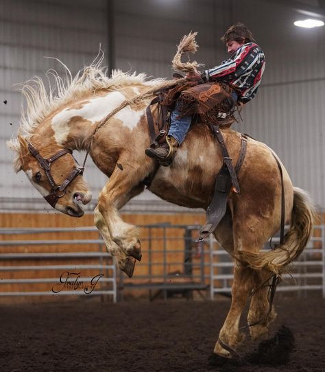 Saddle Bronc, Art Show Ideas, Bronc Riding, Life Artwork, 8 Seconds, Western Life, Cowboys And Indians, Show Ideas, Cowboy And Cowgirl