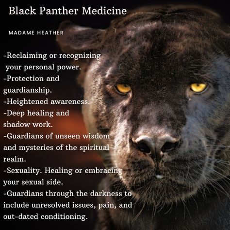 Black Panther Spirit Animal #blackpanther #blackpanthermedicine #blackpantherspiritanimal #spiritanimal #blackpanthertotem #personalpower #sexuality #guardianship #protection #spiritanimalteacher #spiritanimalguides #spiritanimalreader #northernva #northernvirginia Black Panther Meaning, Black Panther Spirit Animal, Panther Symbolism, Panther Meaning, Panther Spirit Animal, Black Panther Aesthetic, Black Panther Animal, Panther Spirit, Black Jaguar Animal