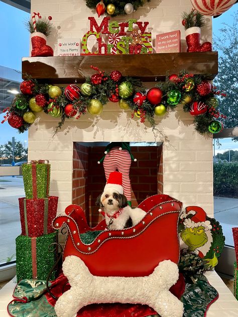 Veterinary Christmas Decor, Vet Christmas Decorations, Vet Clinic Christmas Decor, Skylight Decor, Pet Store Display, Dog Festival, Christmas Pet Photos, Dog Christmas Photos, Pet Store Ideas