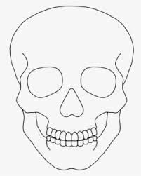 Skeleton Face Drawing Easy, Skeleton Drawing Head, Scelotin Drawing Easy, Skeleton Head Sketch, Skull Simple Drawing, Skeleton Drawing Simple, Skeleton Head Drawing, Skeleton Art Drawing, Human Skull Drawing