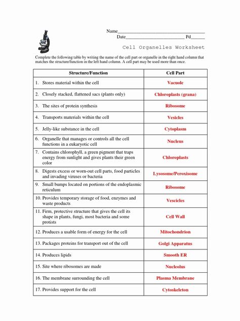 Collection Of Cell Organelles Worksheet Answer Key Biology Cells Organelles, Cell Worksheets, Cell Parts And Functions, Cell Analogy, Animal Cell Organelles, Cell Diagram, Science Cells, Cells Worksheet, Cell Parts