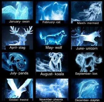 Patronus Animals, Harry Potter Zodiac, Harry Potter Life Quiz, Zodiac Signs Animals, Citate Harry Potter, Zodiac Signs Pictures, Glume Harry Potter, Mermaid Sign, Zodiac Sign Fashion