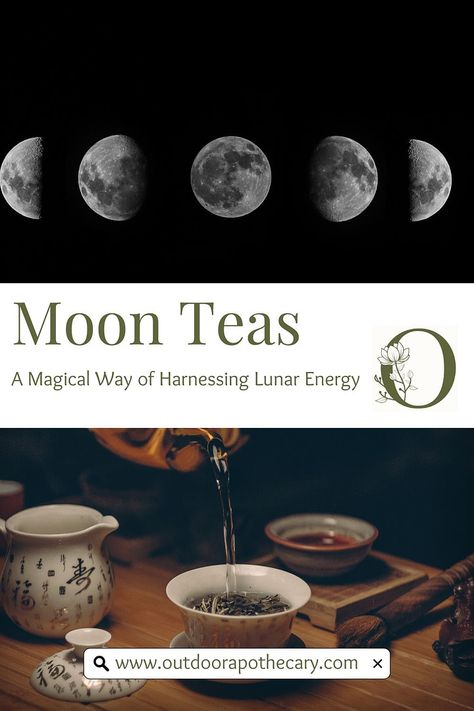 moon teas Lunar Energy, Tea Crafts, Moon Phase Calendar, Full Moon Party, Mountain Rose Herbs, Intention Setting, Moon Cycles, Mind Body And Spirit, Wild Food