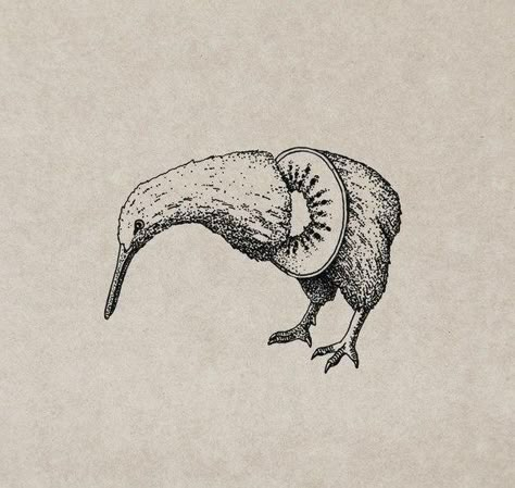 Kiwi Tattoo New Zealand, Kiwi Bird Tattoo New Zealand, Kiwi Bird Tattoo, Kiwi Drawing, Kiwi Tattoo, New Zealand Tattoo, Dotwork Tattoo, Arte Peculiar, Kiwi Bird