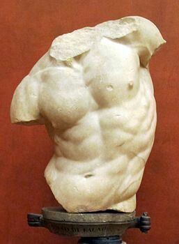 Zeus Statue, Michael Angelo, Ancient Greek Sculpture, Anatomy Sculpture, Roman Statue, Classic Sculpture, Greek Statues, Uffizi Gallery, Roman Sculpture