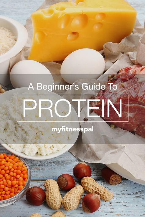 A Beginner’s Guide to Protein ‹ Hello Healthy Fitness Pal, My Fitness Pal, Vitamin A, Kefir, Protein Foods, Nutrition Tips, Fitness Nutrition, Diet Tips, Healthy Tips