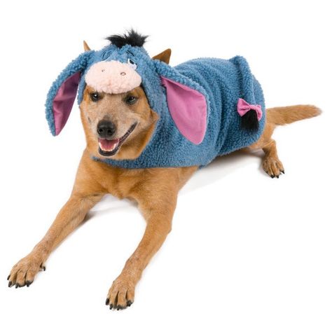 Eeyore Costume, Disney Dog Costume, Tigger And Eeyore, Eeyore Pictures, Halloween Pets, Costumes For Dogs, Dogs Halloween, Dog Onesies, S Costumes