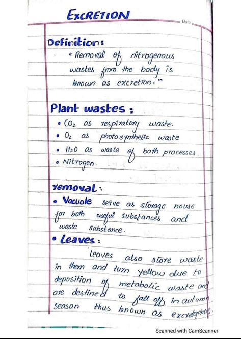 Excretion and plant wastes. Excretion Biology Notes, Excretion Notes, Homeostasis Biology Notes, Zoology Notes, Botany Notes, Life Science Middle School, Hand Written Notes, Learn Biology, Jee Mains